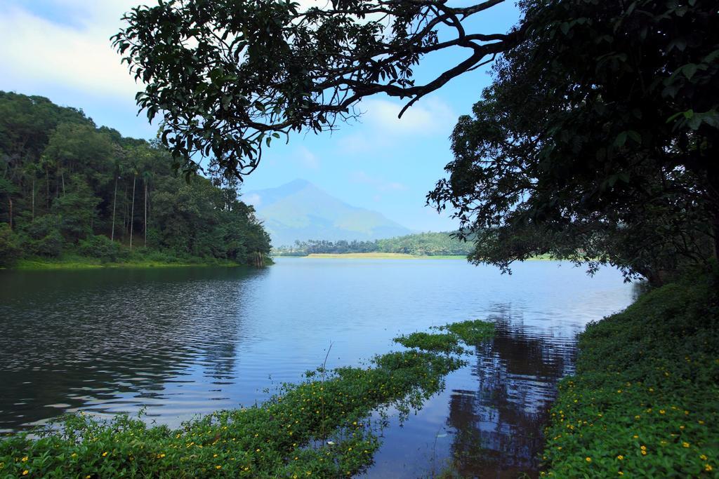 Petals Resorts Wayanad Tariyod Exterior photo