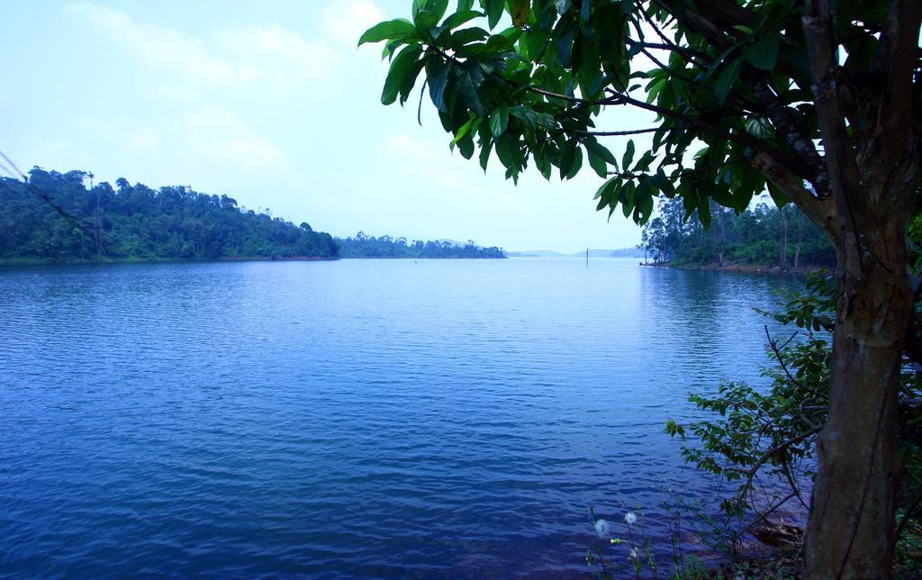 Petals Resorts Wayanad Tariyod Exterior photo